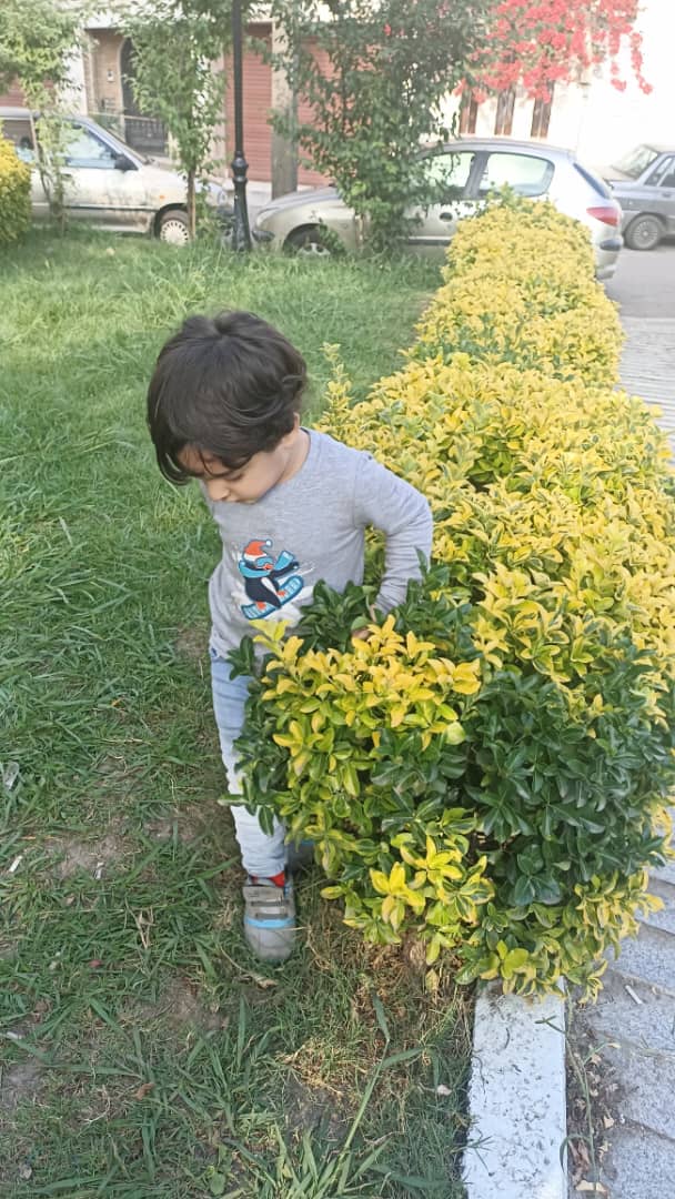 نمی برمت پارک!